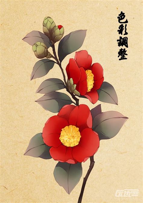 卡通茶花|茶花图片